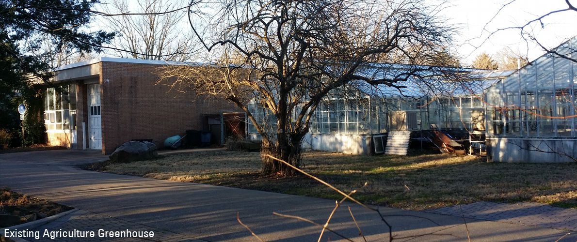 Agriculture Greenhouse Image 3