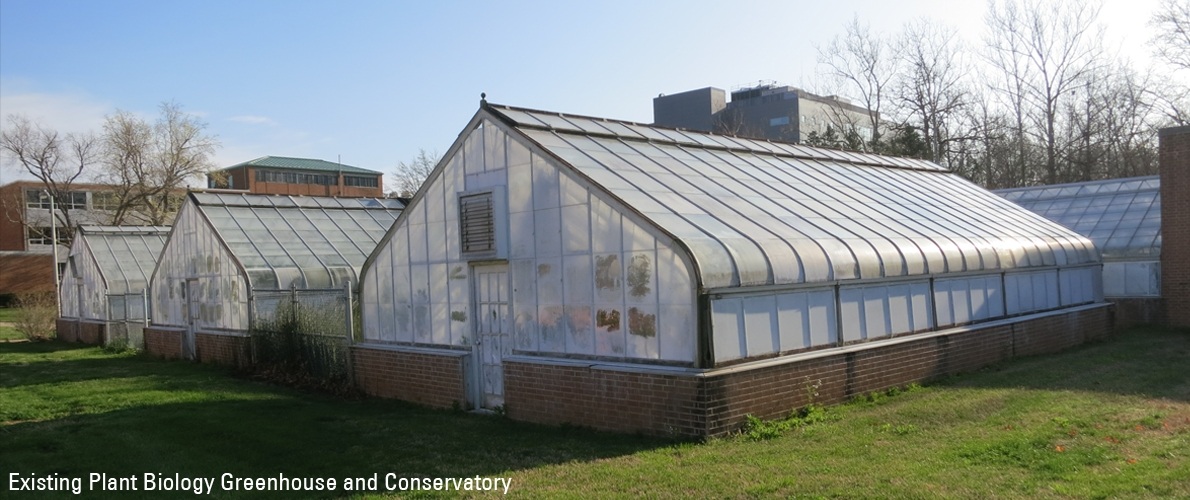 Botany Greenhouse Image 1