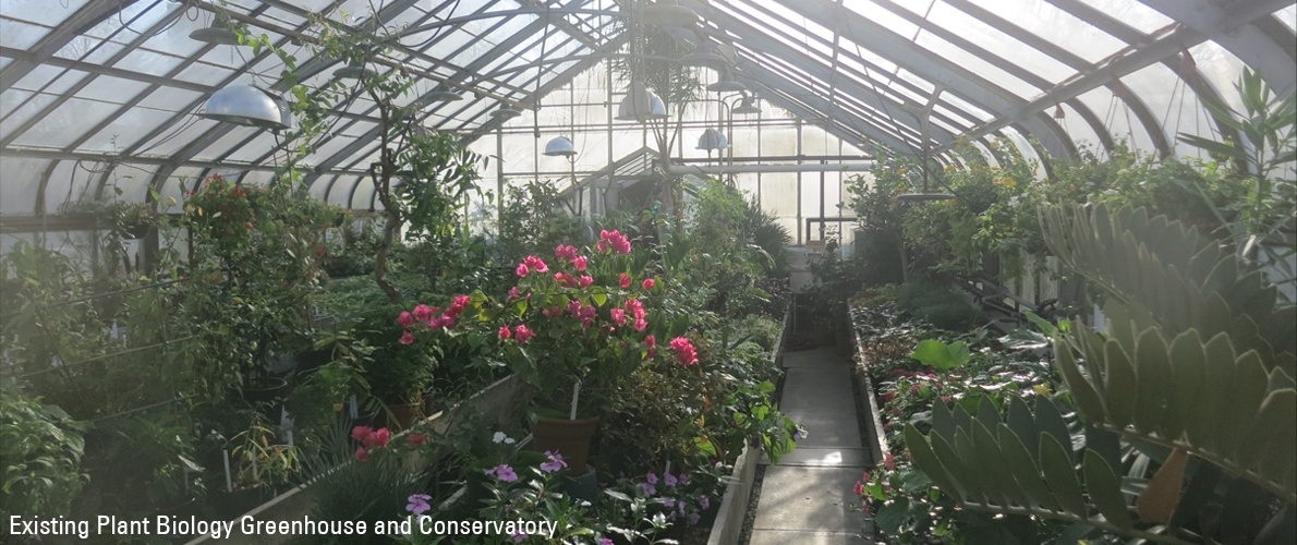 Botany Greenhouse Image 2