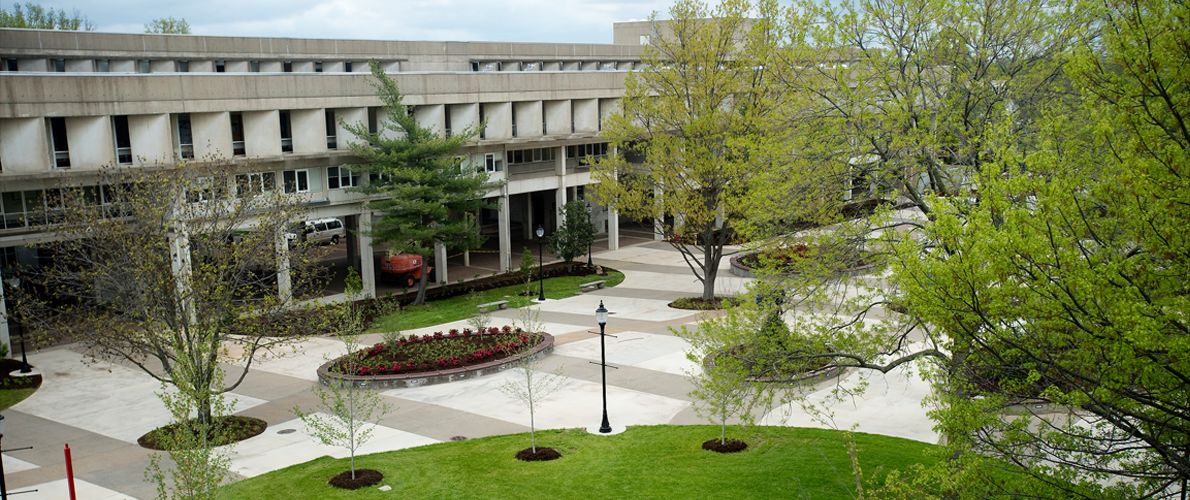 Pedestrian Plaza Image 1