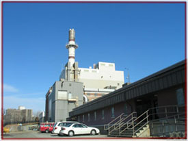 image of physical plant